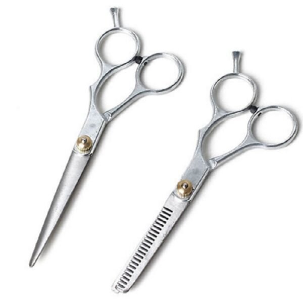 Hair Cutting Scissors Tool in Stainless Steel