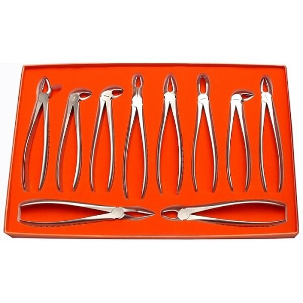 Extraction Forceps 10 pcs Set - High Quality Instruments