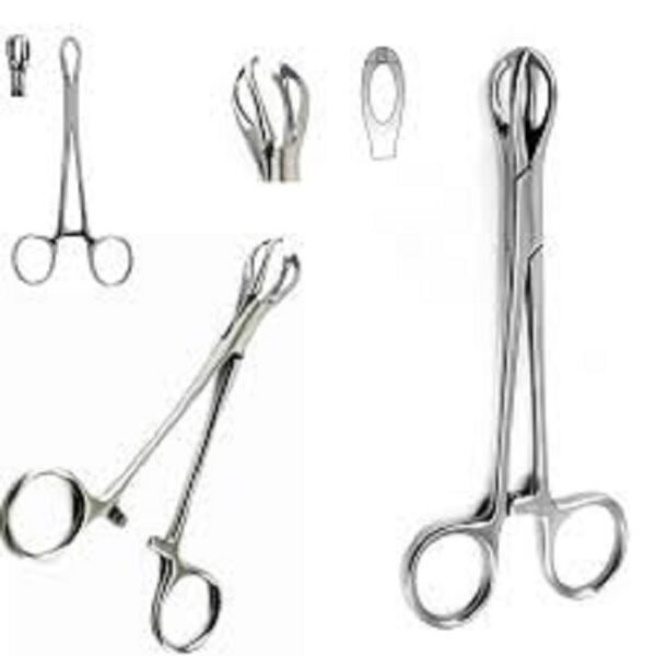 Lane Tissue Forceps, Blunt Jaws, 15cm