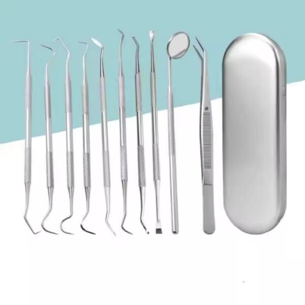 Dental Scaler Instruments Stainless Steel Teeth Cleaner 10 pcs Kit