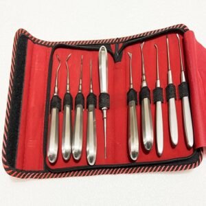 Stainless Steel Dental Root Elevators Kit (Set Of 10)