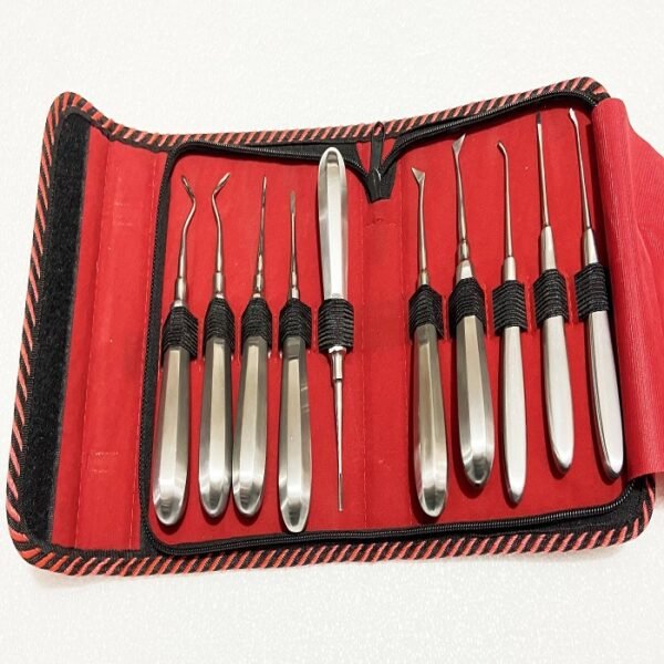 Stainless Steel Dental Root Elevators Kit (Set Of 10)