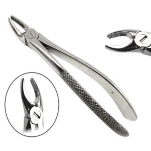 Dental Extraction Forceps