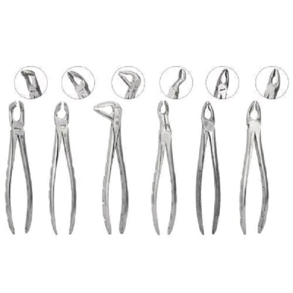 Dental Extraction Forceps Set of 6 pcs